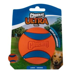 CHUCK IT ULTRA BALL LG