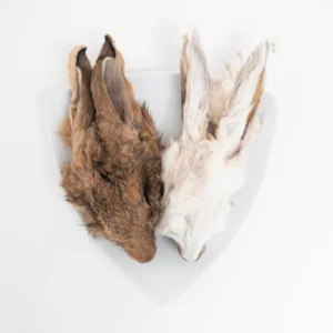 GVQPT RABBIT HEAD W/FUR 2PK