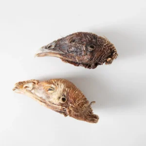 GVQPT TURKEY HEAD HEN BULK