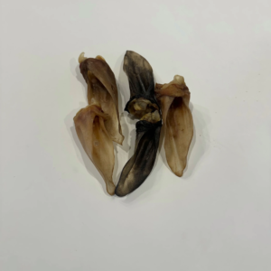 GVQPT LAMB EARS NO FUR BULK