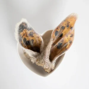 GVQPT LAMB EARS W/FUR BULK